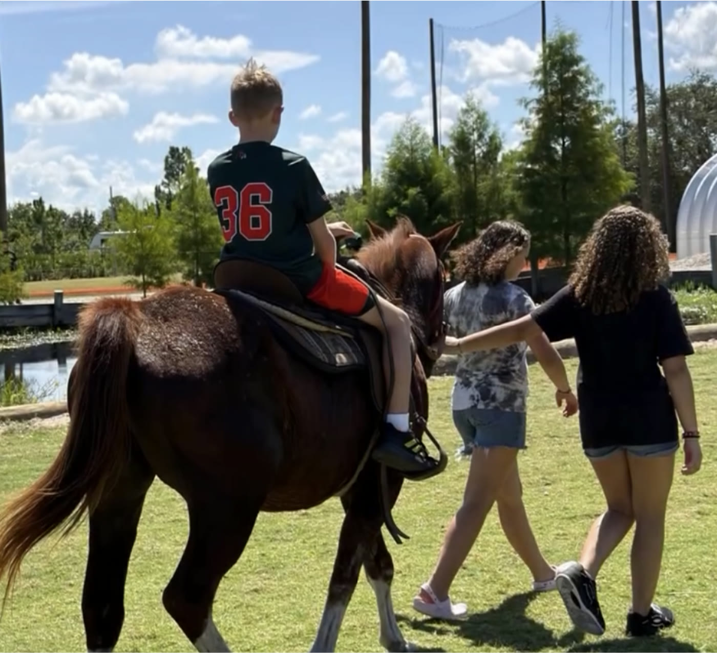 Pony rides on the DDLA farm